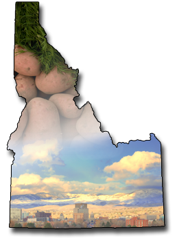 爱达荷州小企业的在线工资软件