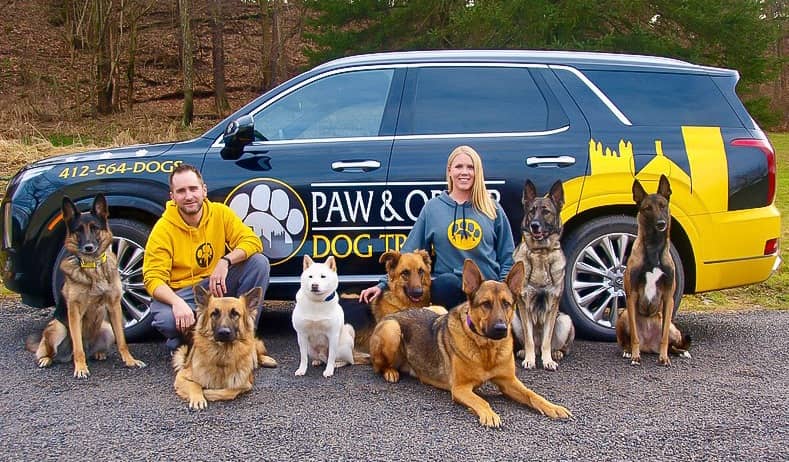 paw and order owners with their dogs
