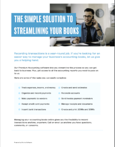 与图像预览的会计高级PDF