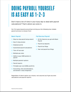 DIY Payroll解决方案PDF图像